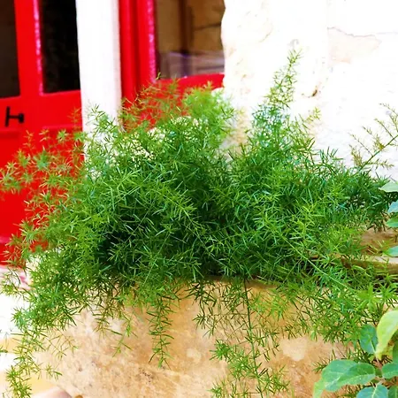 Oda ve Kahvaltı Il-barrag - Gozo Traditional Hospitality 4*