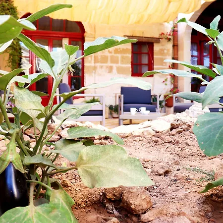 Il-barrag - Gozo Traditional Hospitality 住宿加早餐酒店 纳杜尔