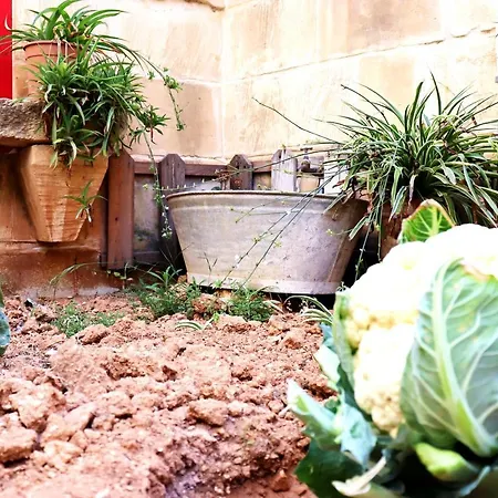 Il-barrag - Gozo Traditional Hospitality Nadur