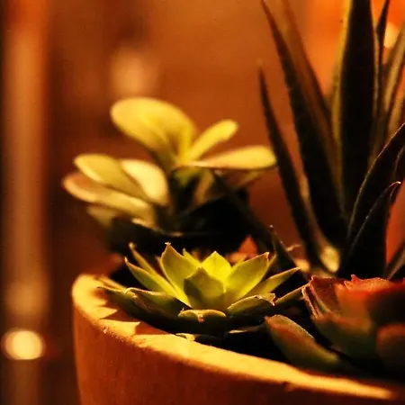 Il-barrag - Gozo Traditional Hospitality 4* Nadur