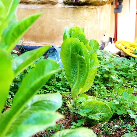 Il-barrag - Gozo Traditional Hospitality 4*