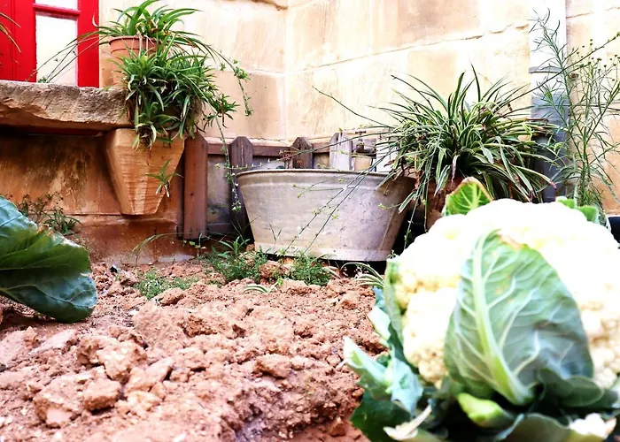 Il-barrag - Gozo Traditional Hospitality Nadur