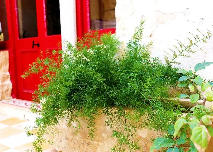 Bed and breakfast Il-barrag - Gozo Traditional Hospitality 4*