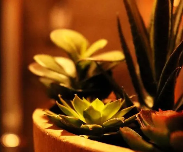 Il-barrag - Gozo Traditional Hospitality 4* Nadur