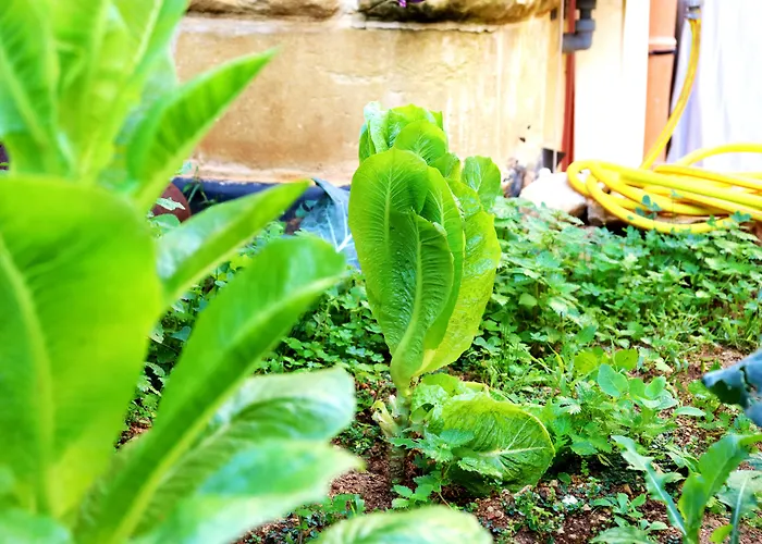 Il-barrag - Gozo Traditional Hospitality 4*