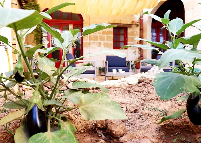 Il-barrag - Gozo Traditional Hospitality B&B Nadur